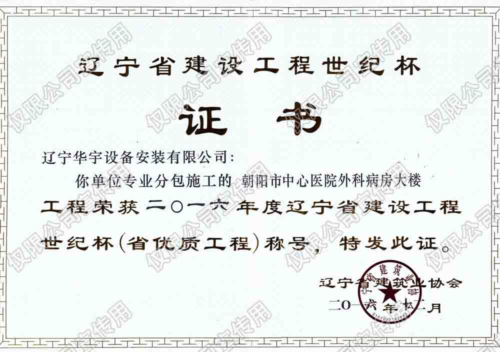 遼寧華宇2016中心醫(yī)院建設工程世紀杯.jpg